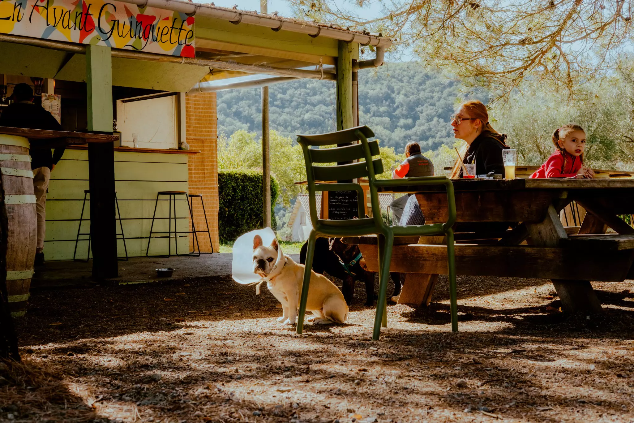 People sit at picnic tables at a roadside cafe; a French bulldog sits on the ground with a cone around its head.