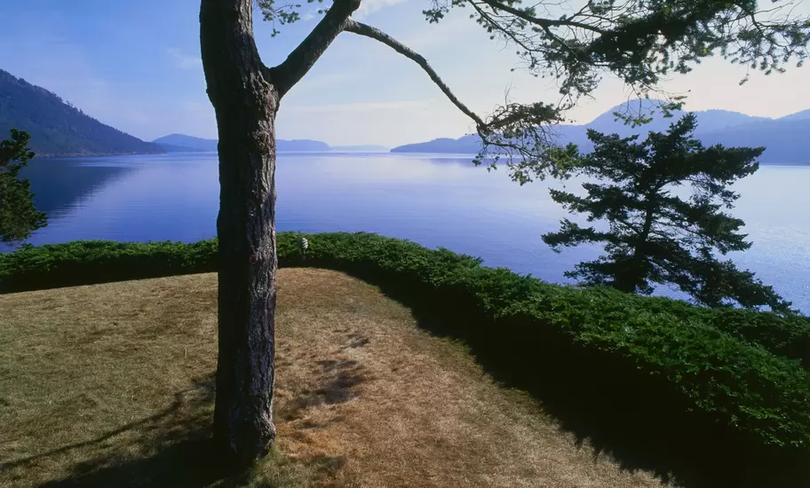 Conifers on a lawn above a calm, misty sound in the San Juan Islands, with forested islands and hills on the horizon