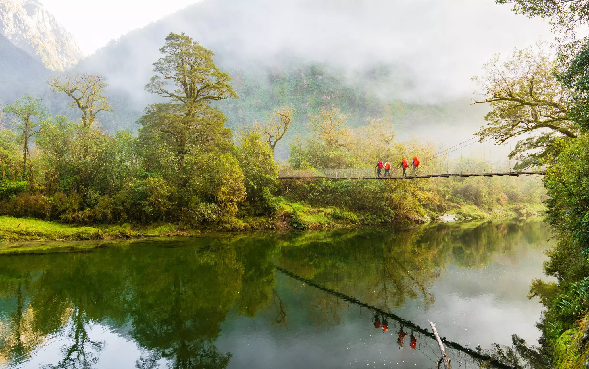Trampers on the Milford Track through Fiordland National Park, New Zealand. nazar_ab/Getty Images