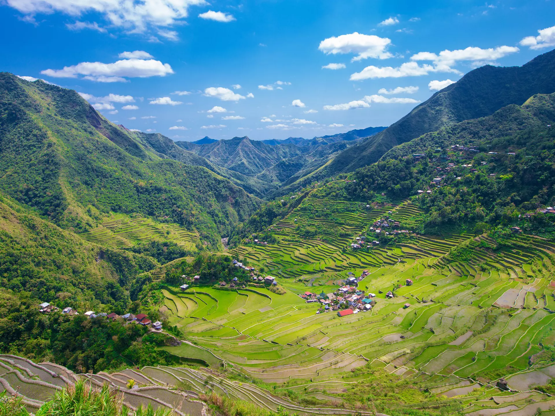 Steep rice terraces at the edge of a range of hills. 