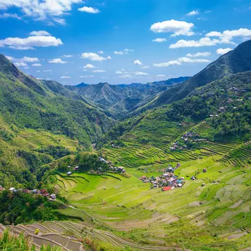 Steep rice terraces at the edge of a range of hills. 