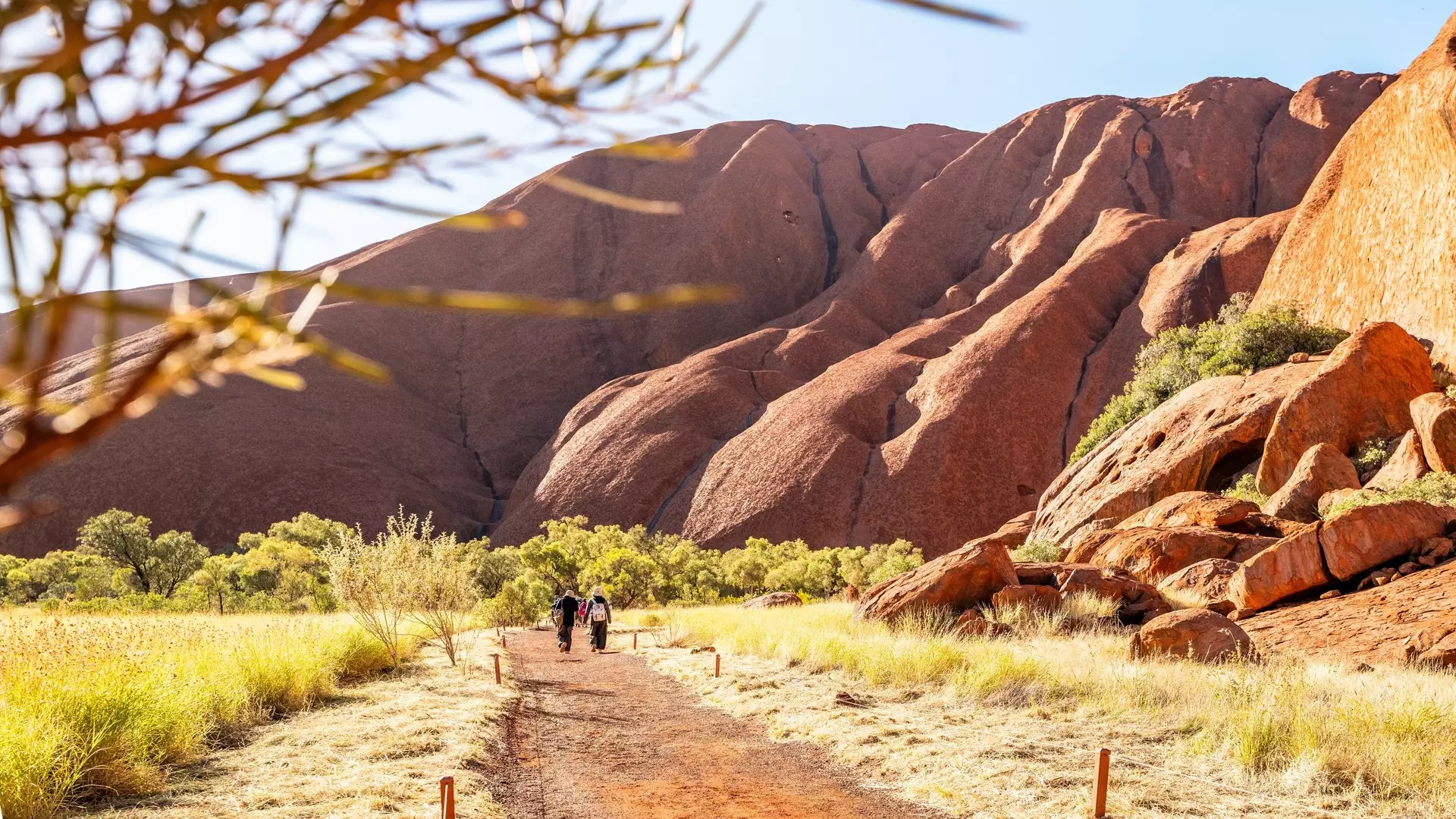Sunlit Walking Trail Beside Uluru with Visitors and Desert Grass