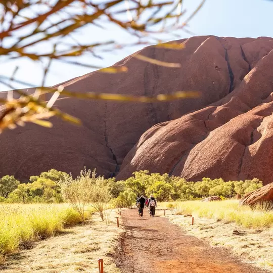 Sunlit Walking Trail Beside Uluru with Visitors and Desert Grass