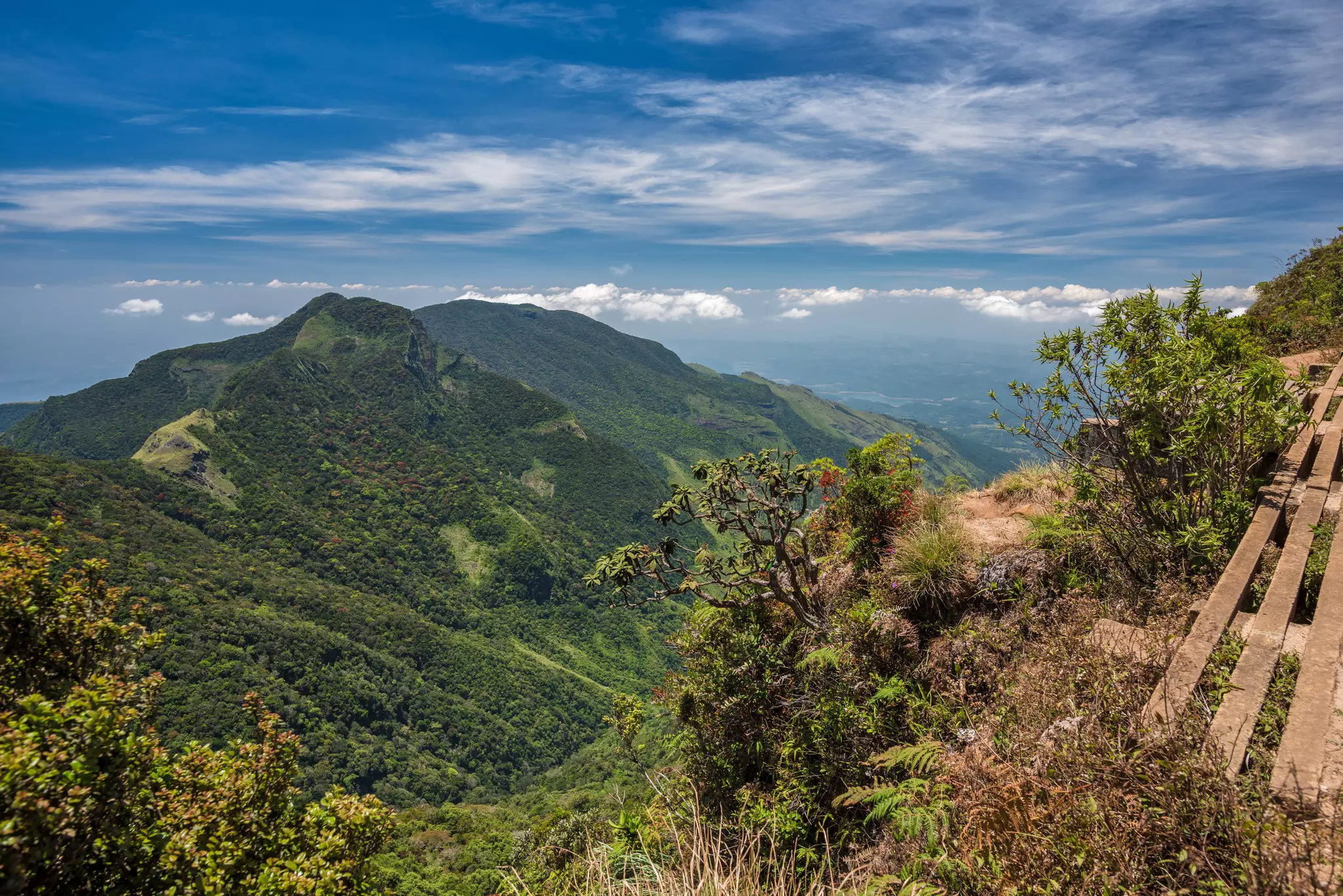 View from World's End within the Horton Plains National Park in Sri Lanka