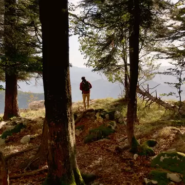 A person wearing a backpack walks out of a forest into a field in warm light.