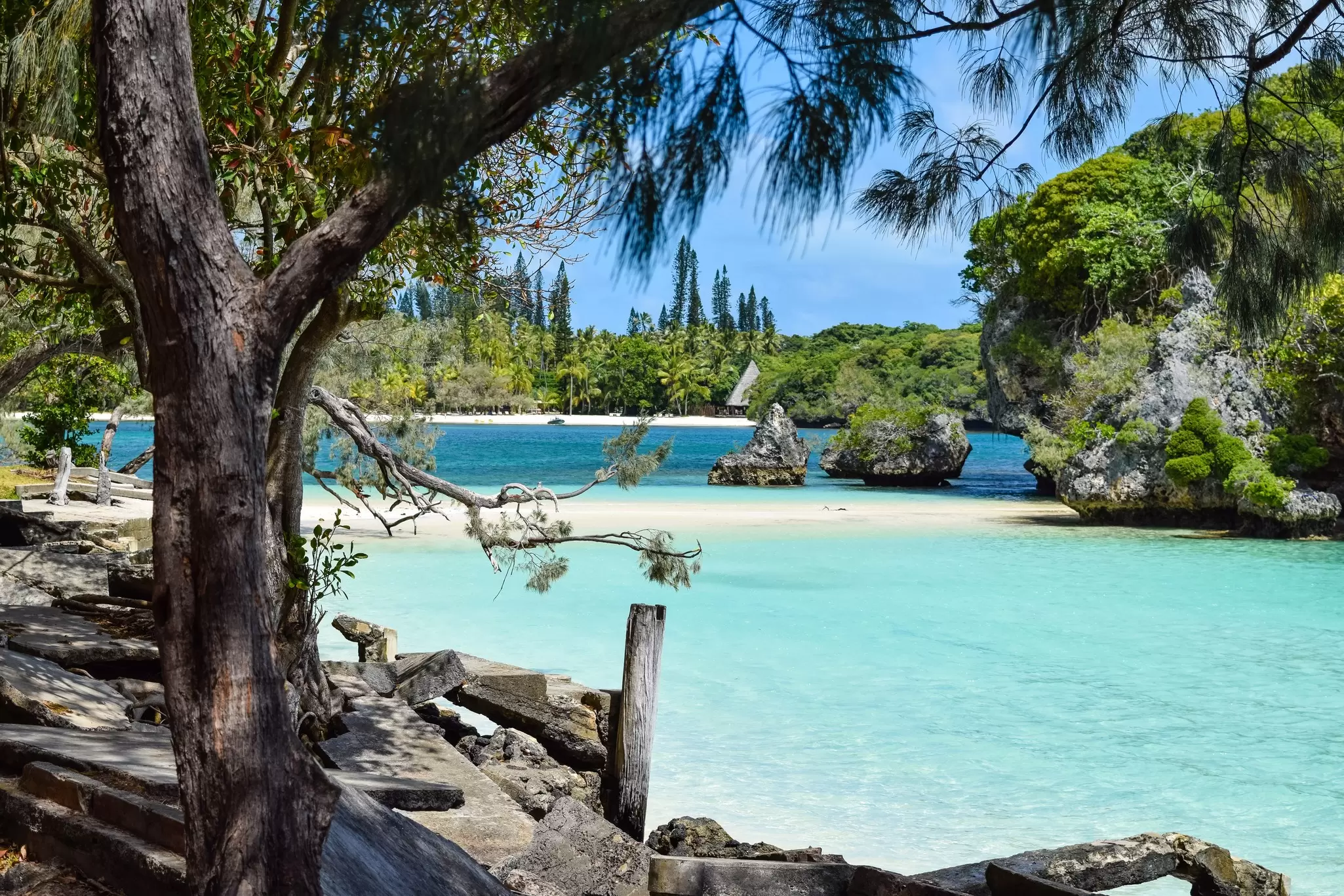 A perfect slice of beach in New Calcedonia. Quinta/Shutterstock