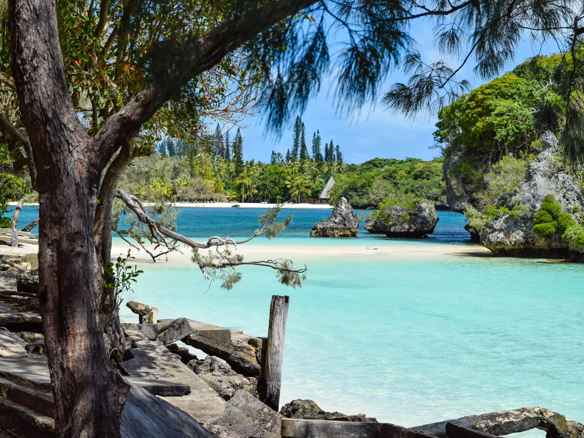 A perfect slice of beach in New Calcedonia. Quinta/Shutterstock
