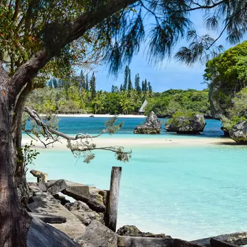 A perfect slice of beach in New Calcedonia. Quinta/Shutterstock