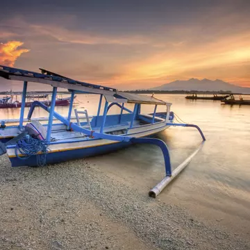 Boat Trip