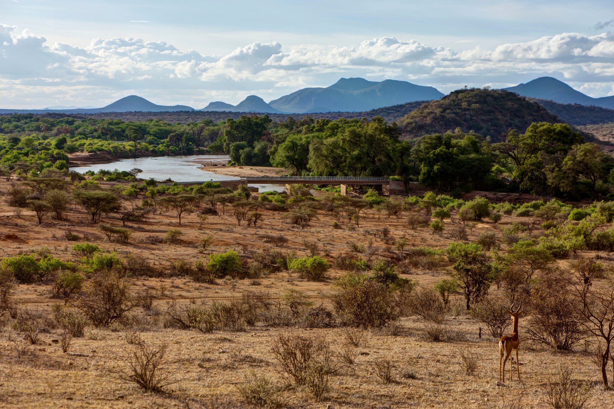 Ng'iro Bridge crossing the Ewaso Ng'iro River in Samburu National Reserve, Kenya, East Africa, Africa.