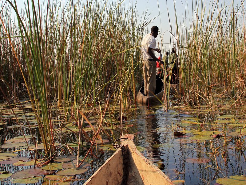 Mokoro Safari in Okavango Delta, Botswana