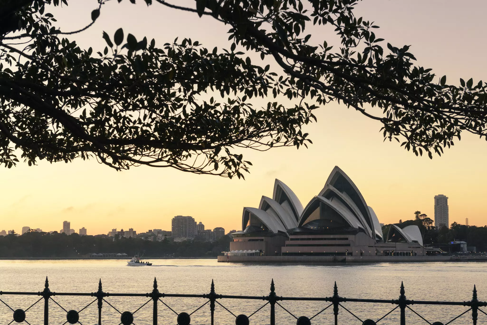 Sydney Opera House, glows in the early morning light