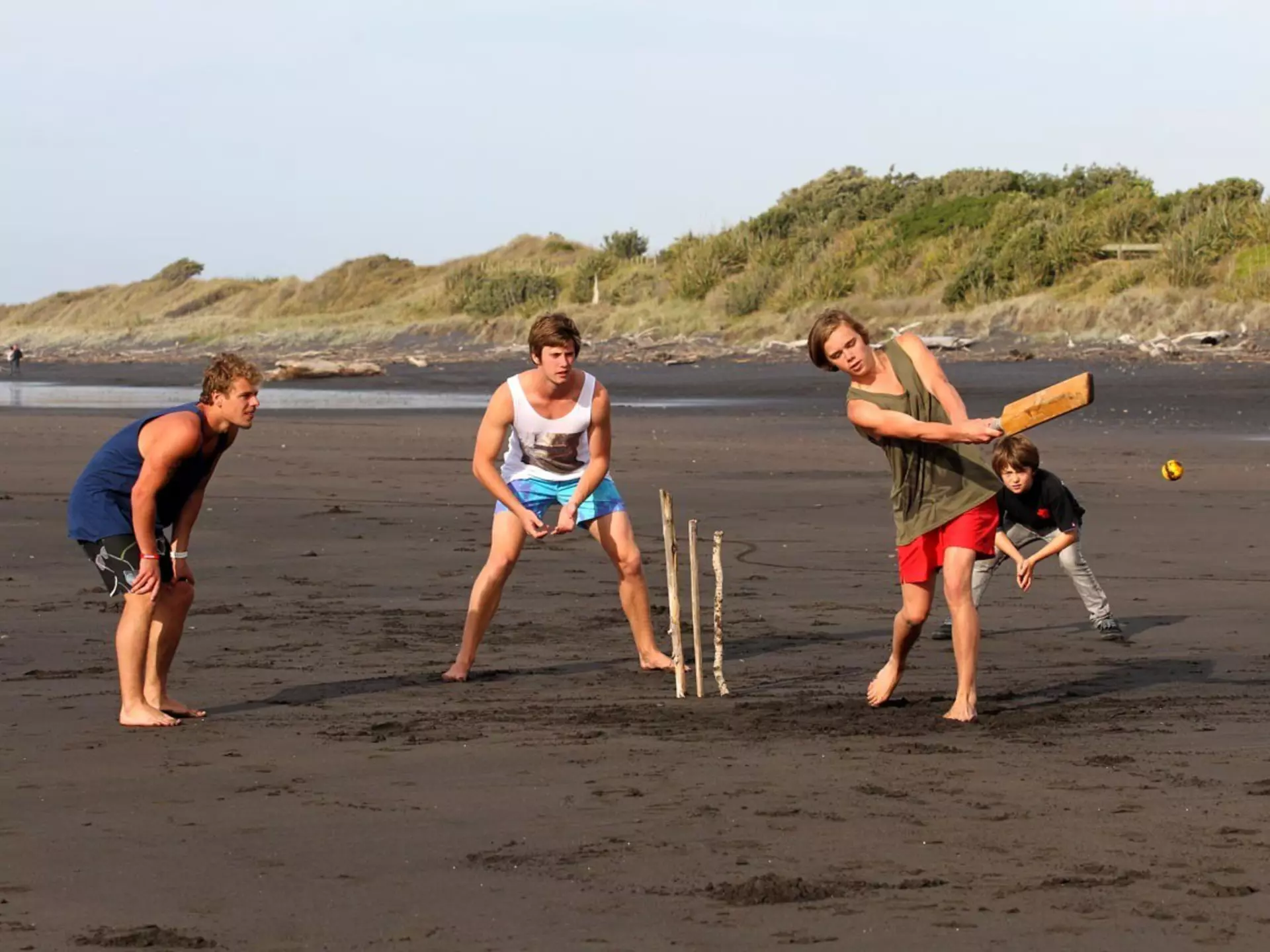 Beach cricket on black sand of Weld Rd. Beach, Taranaki.