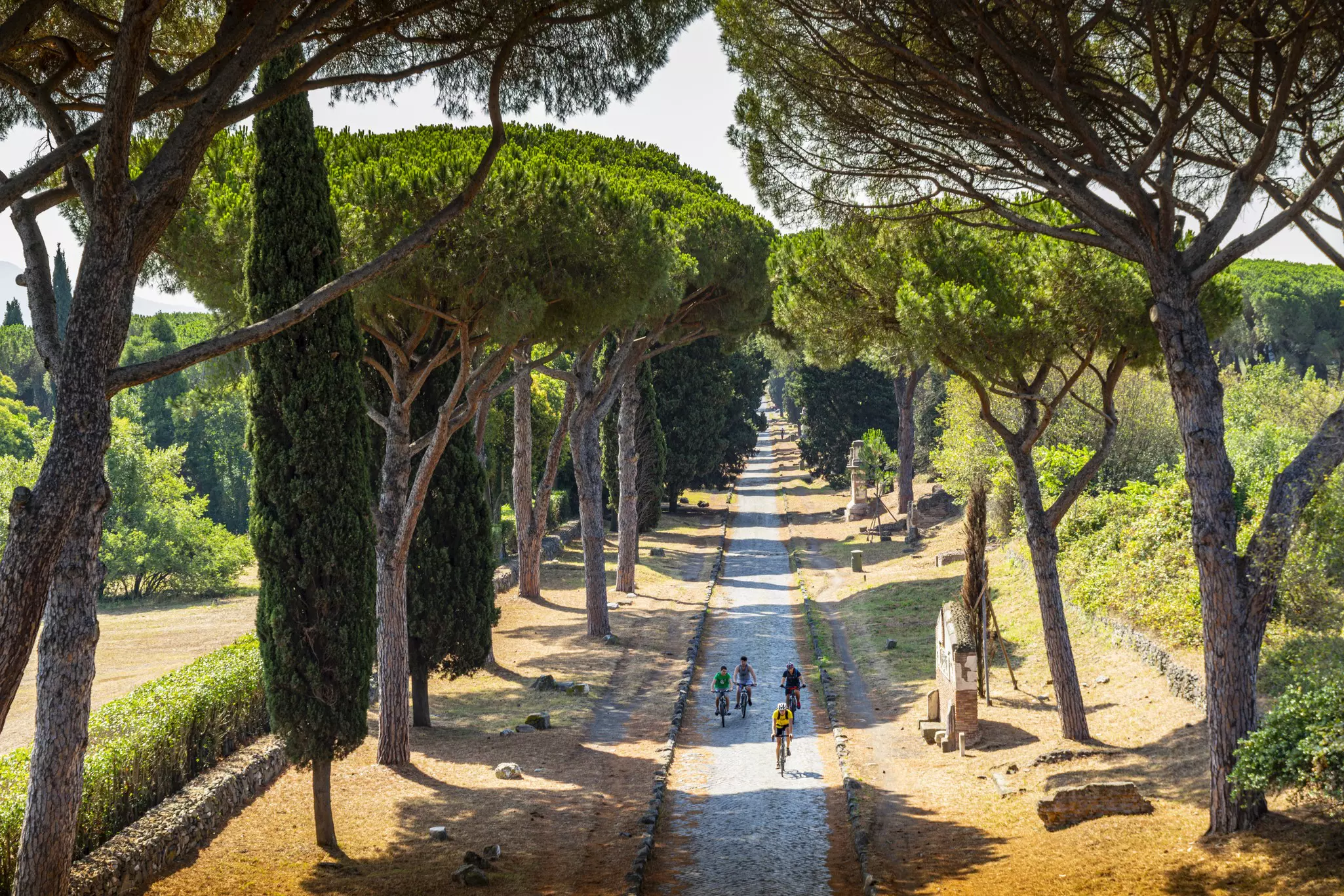 A group of cyclists passing under trees along the Via Appia Antica in Rome, Italy.