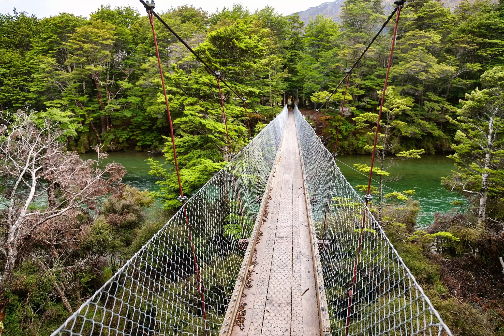 Suspension walking bridge over the Mararoa River, Mavora Lakes protected area in Southland, South Island of New Zealand.