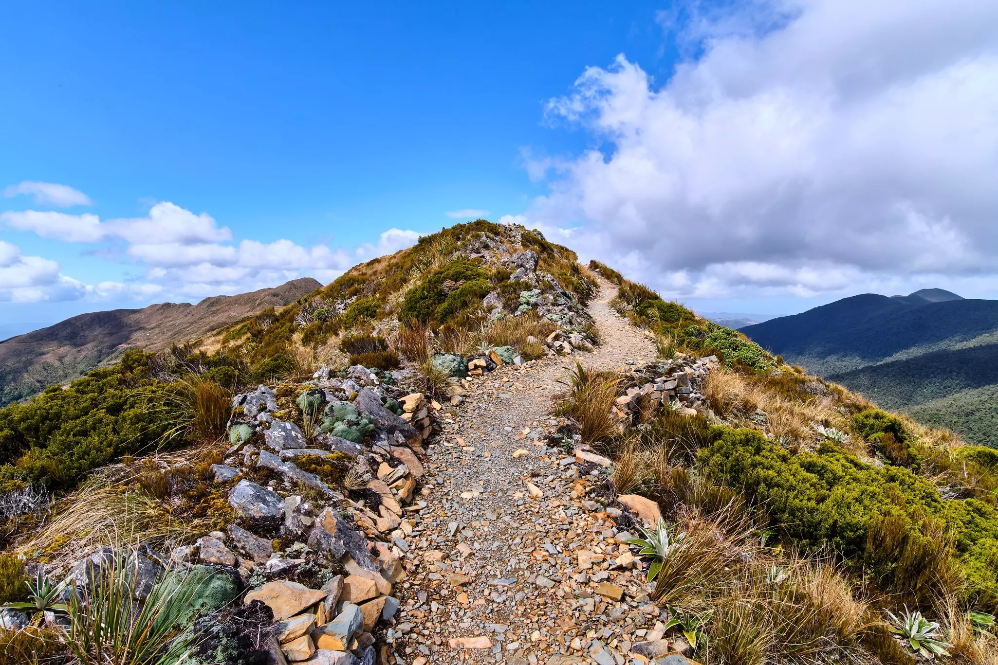 The new Paparoa Track in New Zealand