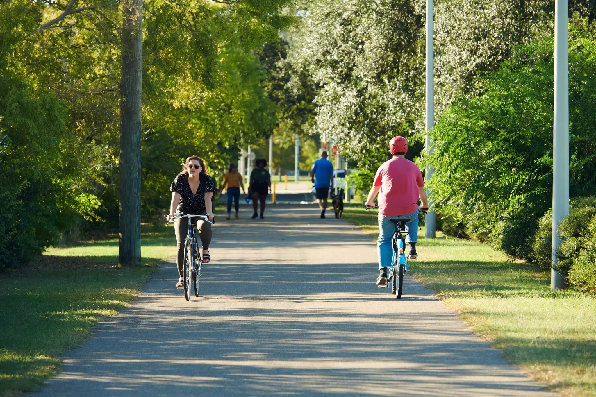 People biking along the Lafitte Greenway in New Orleans, Louisiana.