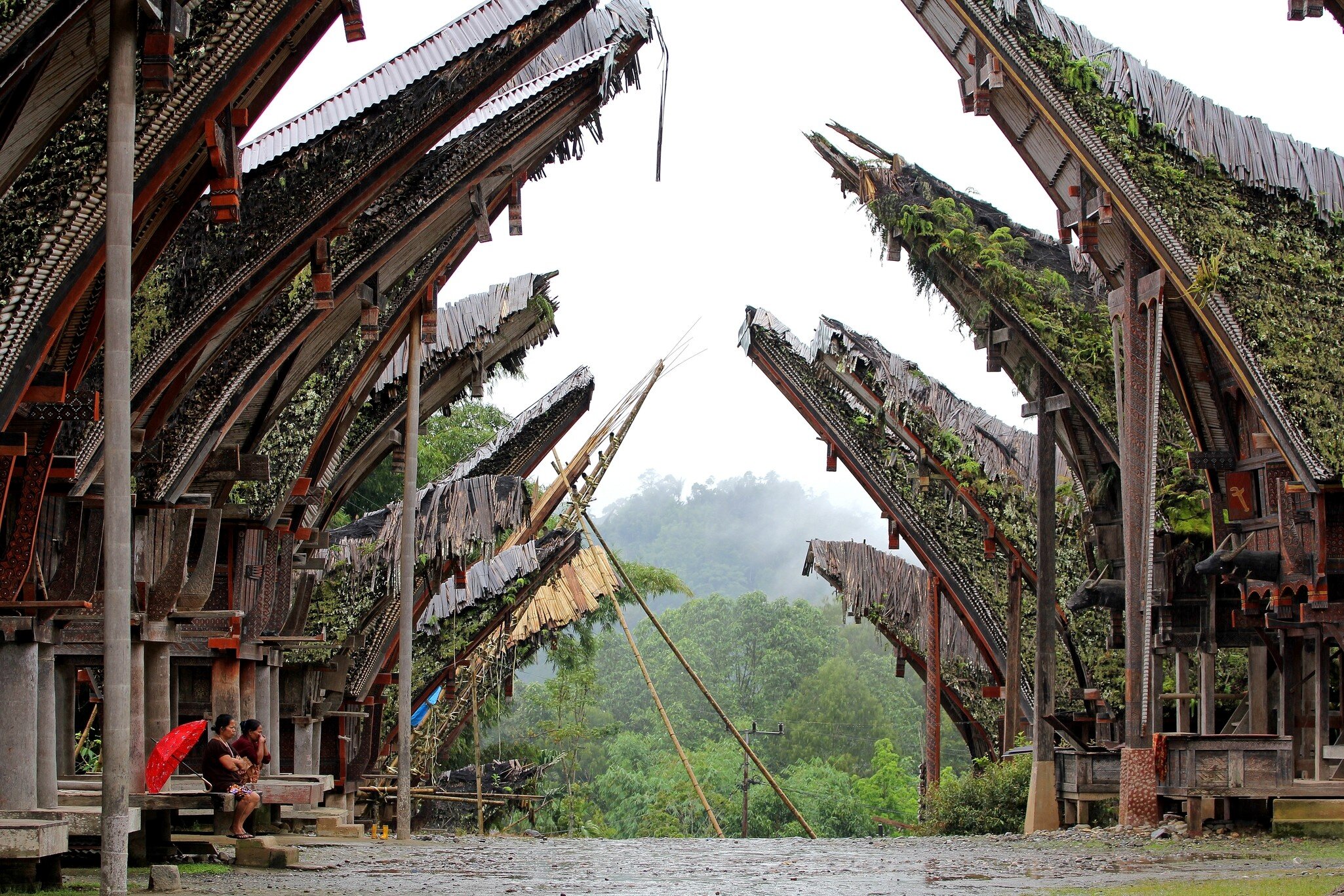 Toraja houses in the village of Palawa, Sulawesi, Indonesia.