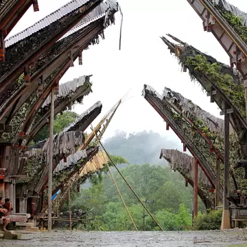 Toraja houses in the village of Palawa, Sulawesi, Indonesia.