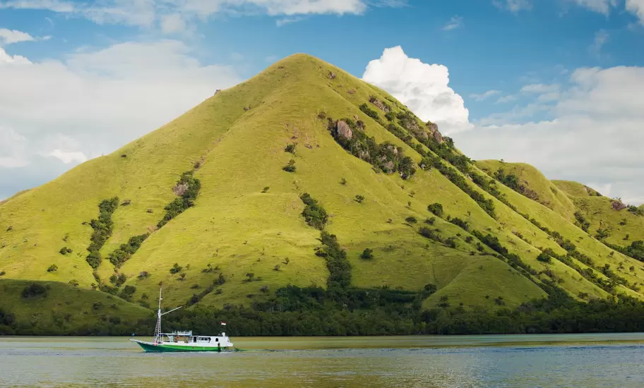 Green-and-white wooden boat cruising past a steep grassy hill and mangroves in Komodo National Park, Indonesia
