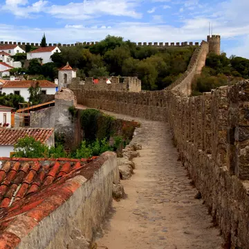 White houses with red roofs and exotic trees surrounded by the walls of a castle.