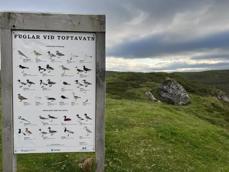 Bird watching sign Lake Torftavan, Faroe Islands