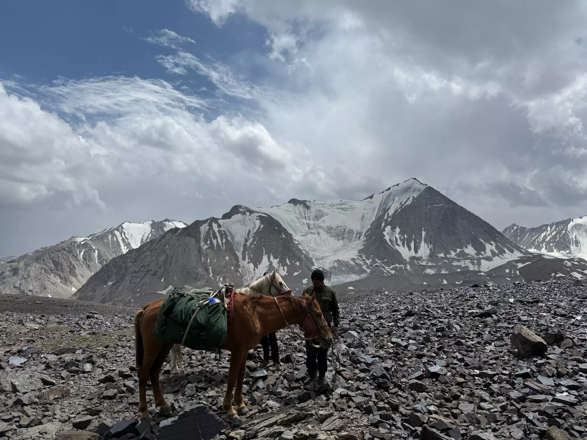 Horses taking a mid-trek break in the Alay Mountains. Jennifer Korn for Lonely Planet