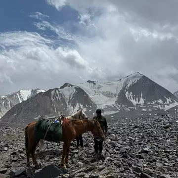 Horses taking a mid-trek break in the Alay Mountains. Jennifer Korn for Lonely Planet