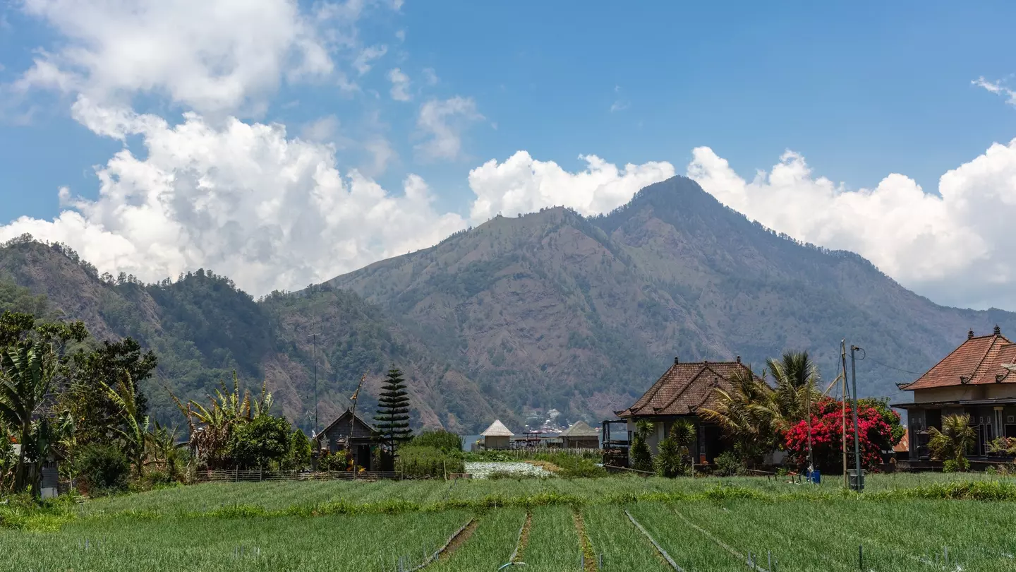 A view of Gunung Batur volcano with houses, trees, grass and flowers in the foreground