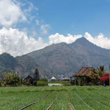 A view of Gunung Batur volcano with houses, trees, grass and flowers in the foreground