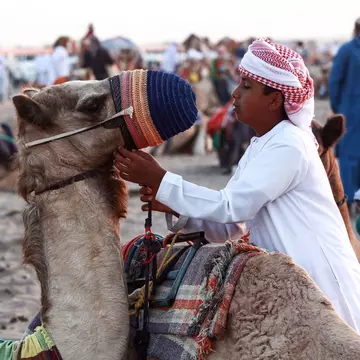 Camel races, and camel beauty pageants, are an exciting annual part of Oman’s winter season. Mohammed Mahjoub/Getty Images