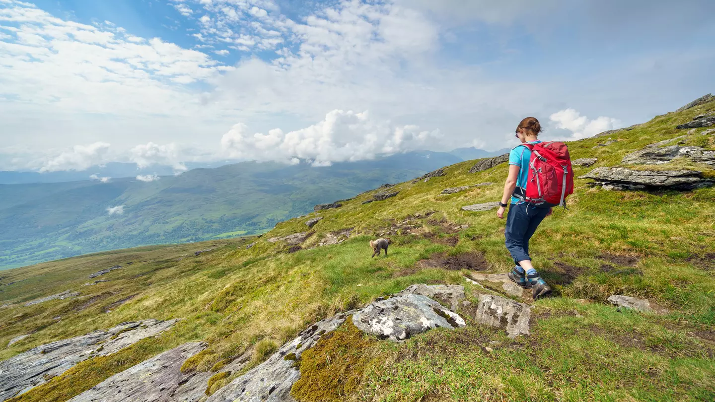 Pick your favorite route from these top hiking trails in Scotland © Duncan_Andison / Getty Images