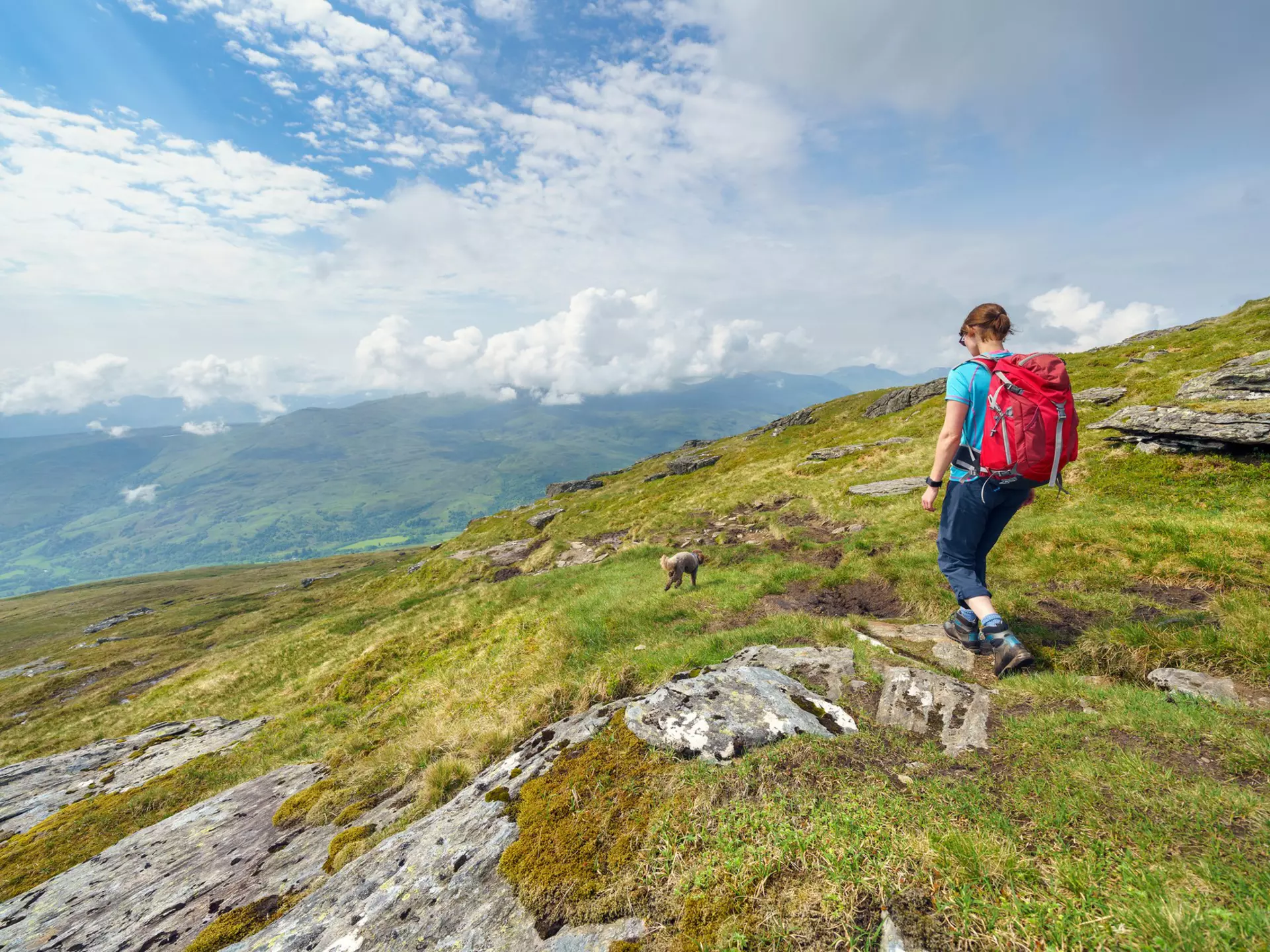 Pick your favorite route from these top hiking trails in Scotland © Duncan_Andison / Getty Images
