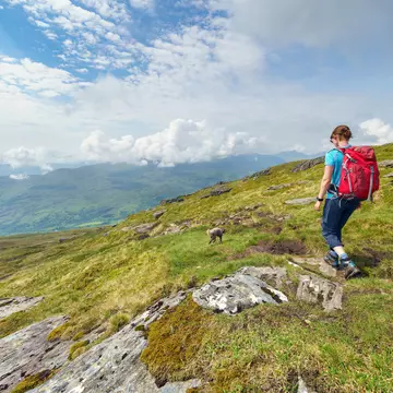 Pick your favorite route from these top hiking trails in Scotland © Duncan_Andison / Getty Images