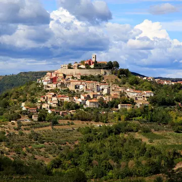 Houses and fortress walls of Motovun perched on a green hill.