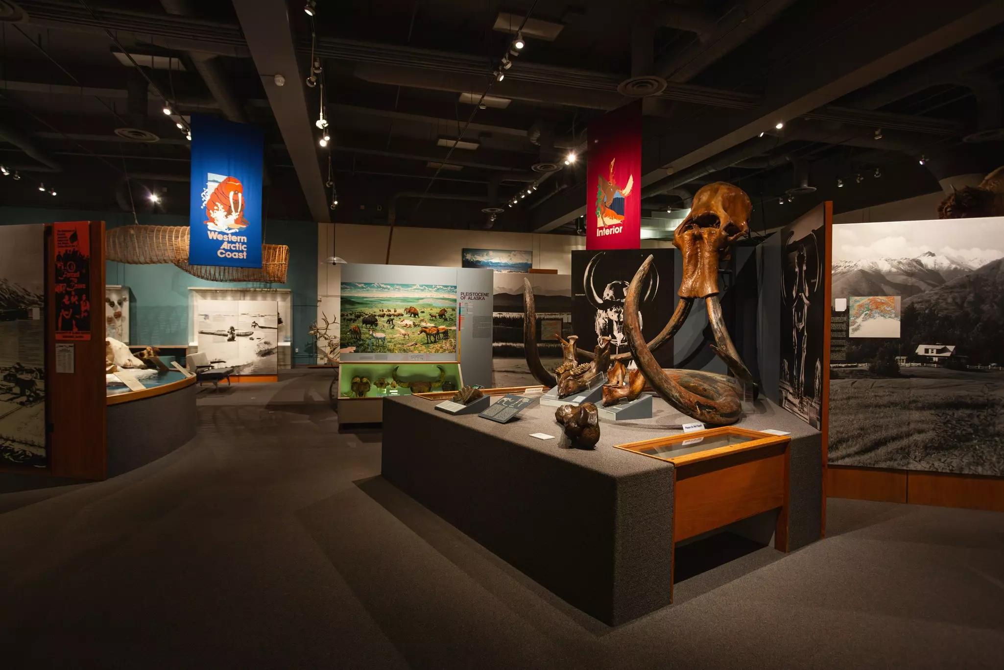 An exhibit inside the University of Alaska Museum of the North. 