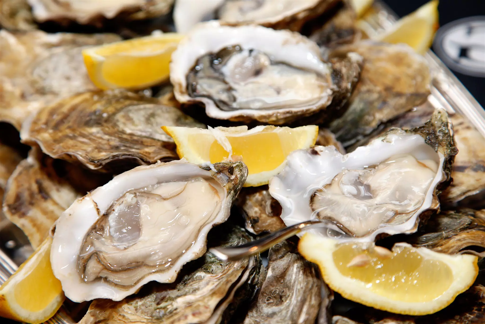 A platter of fresh oysters garnished with lemon wedges. 
