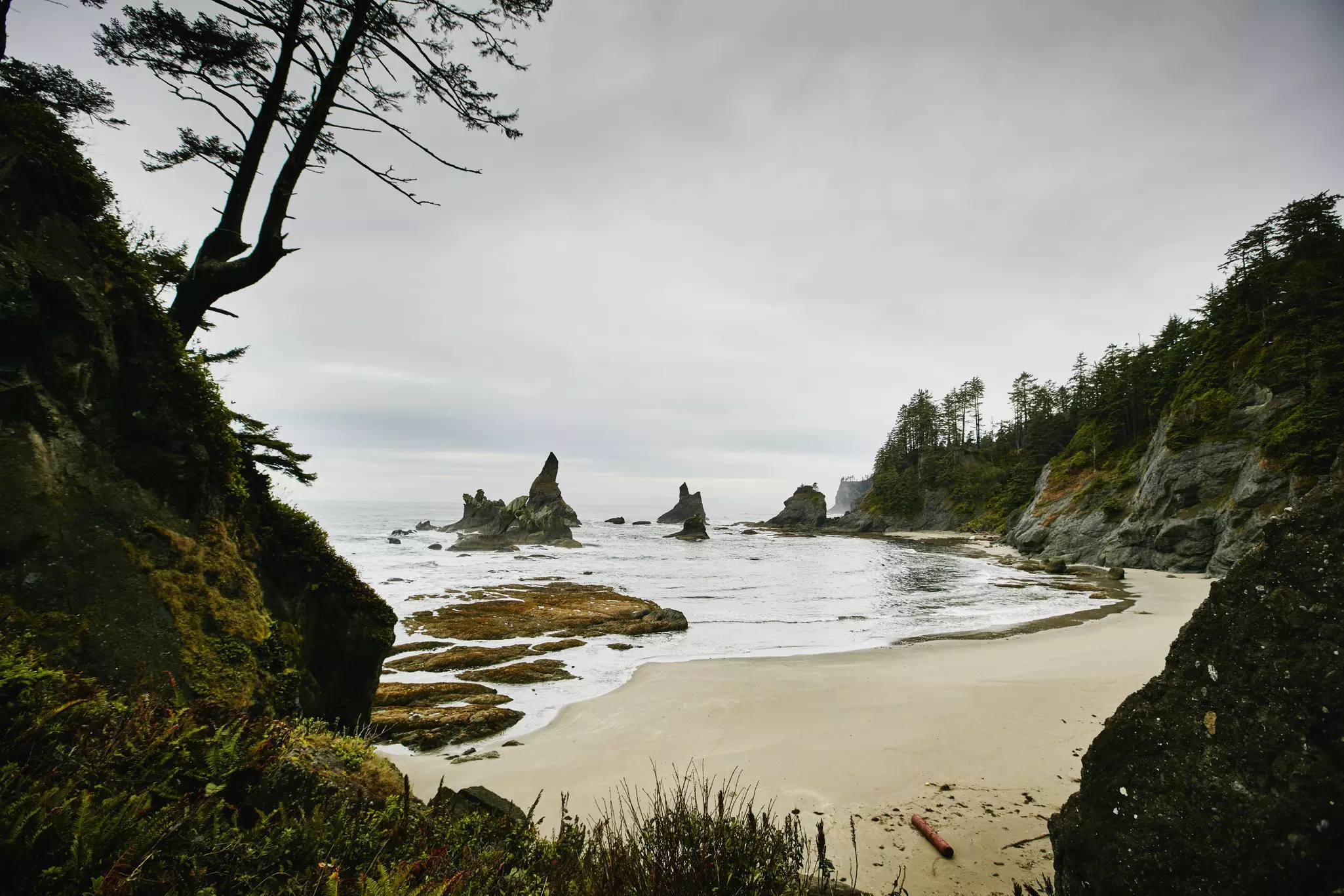 Shi Shi Beach Washington Coast