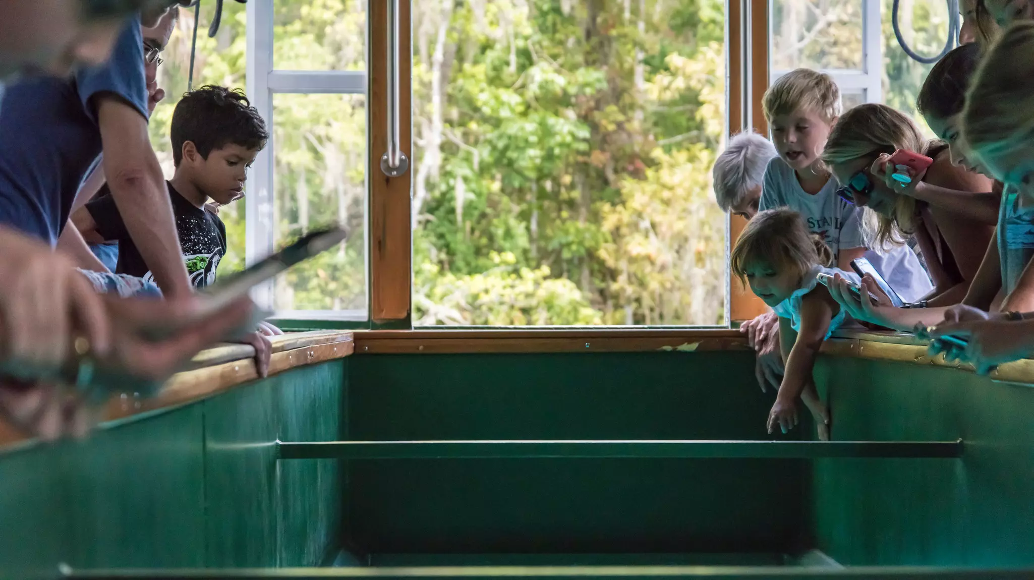 A glass-bottom boat ride in Silver Springs State Park is an adventure perfect for pre-teen kids © Photointoto / Shutterstock