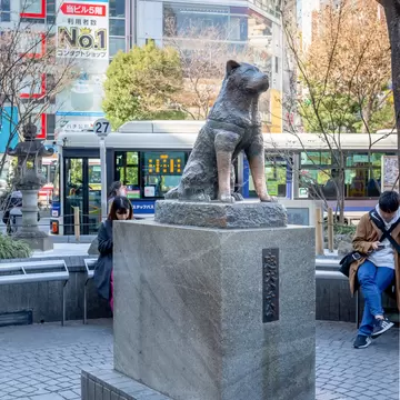 Feb 3, 2019: Hachiko the dog memorial statue in front of Shibuya station at Tokyo.
1314221315
akita, animal, architecture, asia, asian, attraction, beautiful, bronze, building, cat, city, culture, day, destination, district, dog, downtown, faithful, famous, hachiko, history, intersection, japan, japanese, landmark, loyal, loyalty, meeting, memorial, modern, monument, outdoor, people, point, scene, sculpture, shibuya, square, station, statue, street, tokyo, tourism, tourist, town, travel, urban, view
