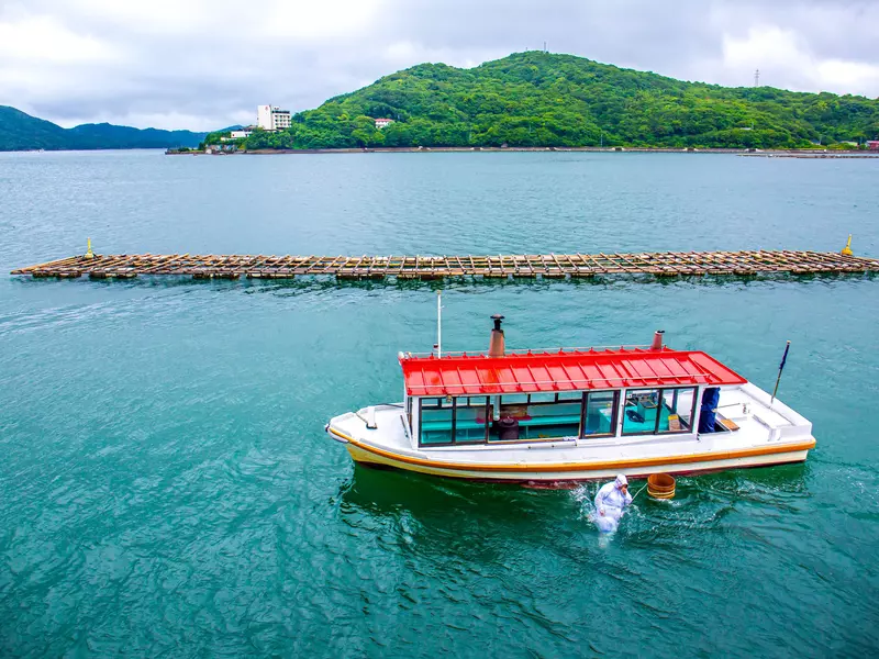 ISE, JAPAN, JUNE 27, 2019 :: Female pearl divers called ama who traditionally plants and harvests the oysters in the Mikimoto Pearl Island, Ise, Japan, License Type: media, Download Time: 2025-02-11T20:27:34.000Z, User: Ppeterson948, Editorial: true, purchase_order: 56530 - Guidebooks, job: Global Publishing WIP, client: Global Publishing WIP, other: Pia Peterson Haggarty