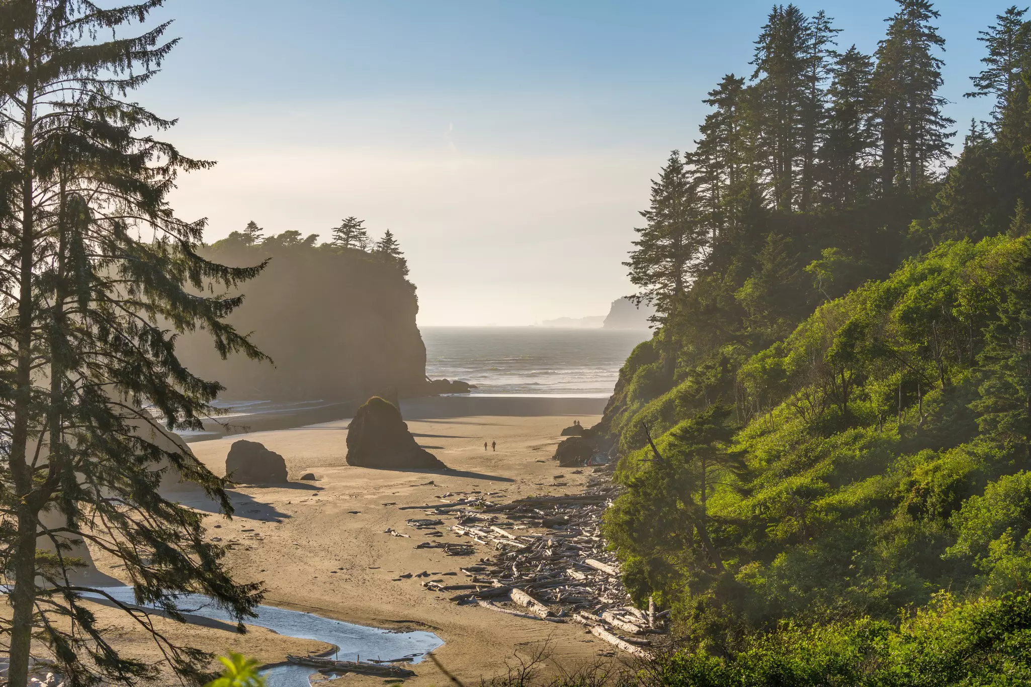 Ruby Beach in Olympic National Park, Washington