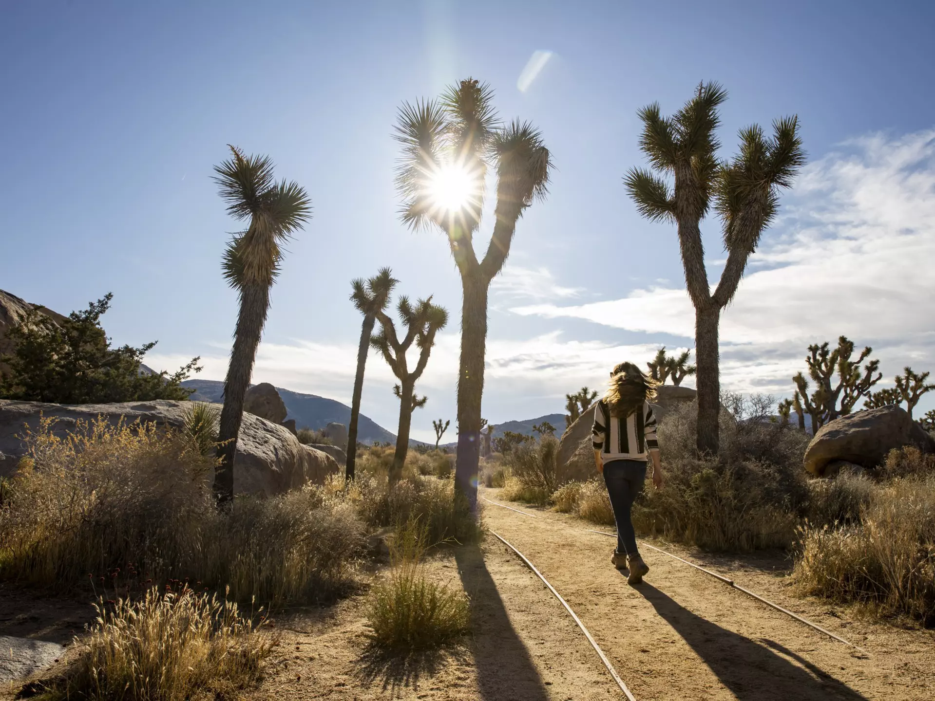 Hiking near Joshua Trees outside Palm Springs
1218238076