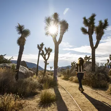 Hiking near Joshua Trees outside Palm Springs
1218238076