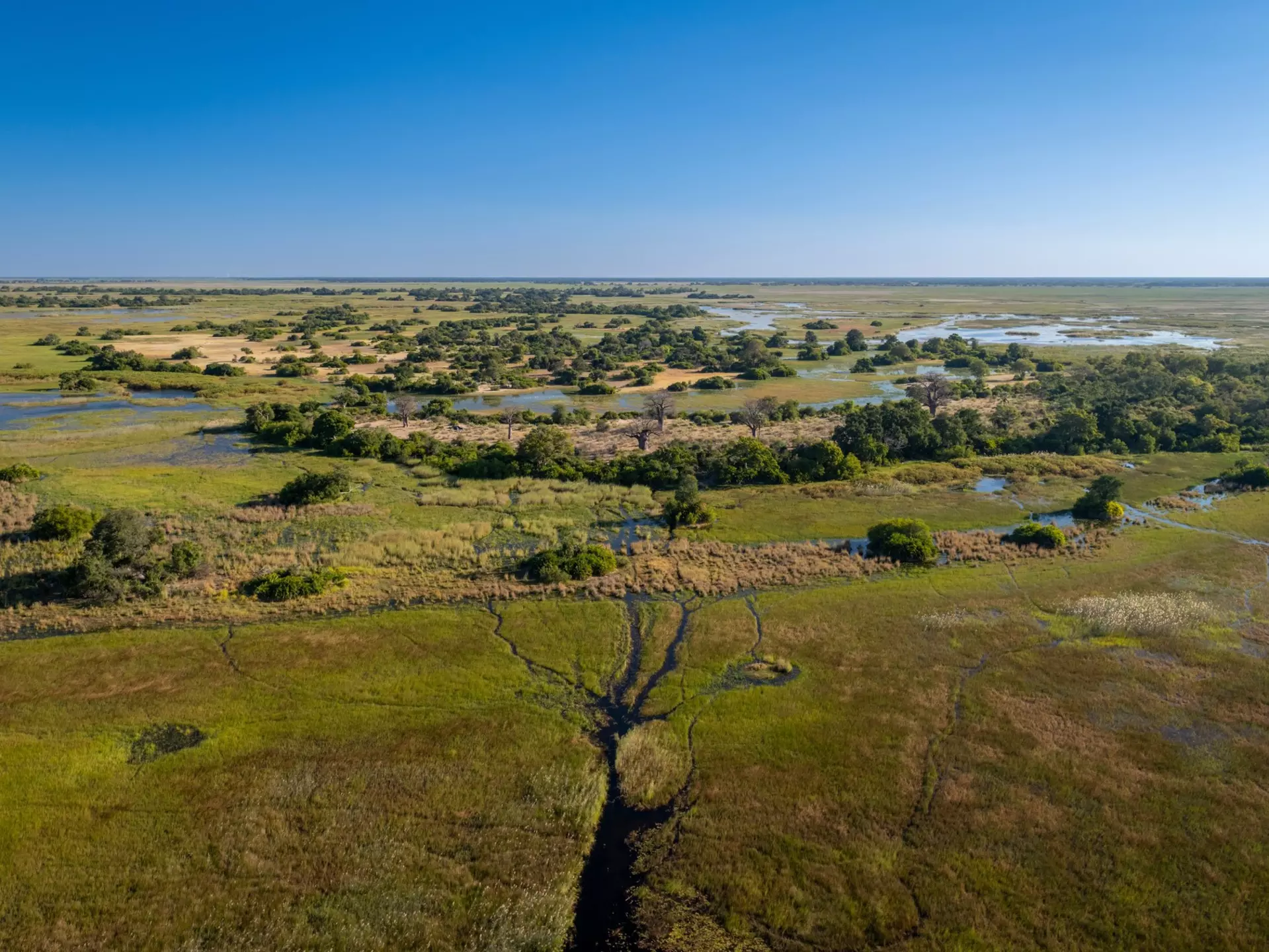 Botswana's Okavango Delta boasts a region of beauty. Colin Stephenson/Shutterstock