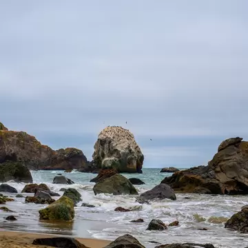 Ocean Beach, San Francisco.