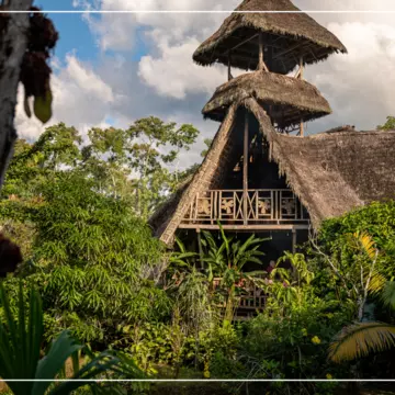 One of the world’s most extraordinarily diverse environments, the Ecuadorian Amazon offers white-water rafting, bird watching, forest walks and more © Bailey Freeman / Lonely Planet