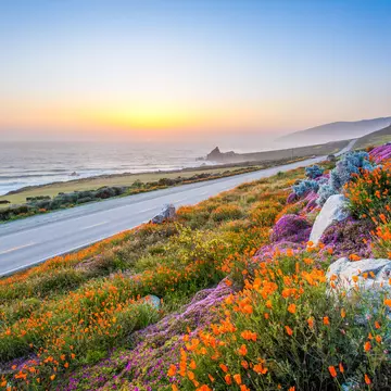 Coastline on Highway 1 near Big Sur.
poppy, landscape, sunset, spring, nature, flower, travel, blue, coast, coastline, ocean, vacation, highway, road, summer, beautiful, orange, view, romantic, usa, california, vivid, wave, seascape, waterfall, america, photography, violet, dramatic, colorful, dusk, wild, environment, bloom, turquoise, pacific, tropical, big sur, coastal, 1, west coast, secluded