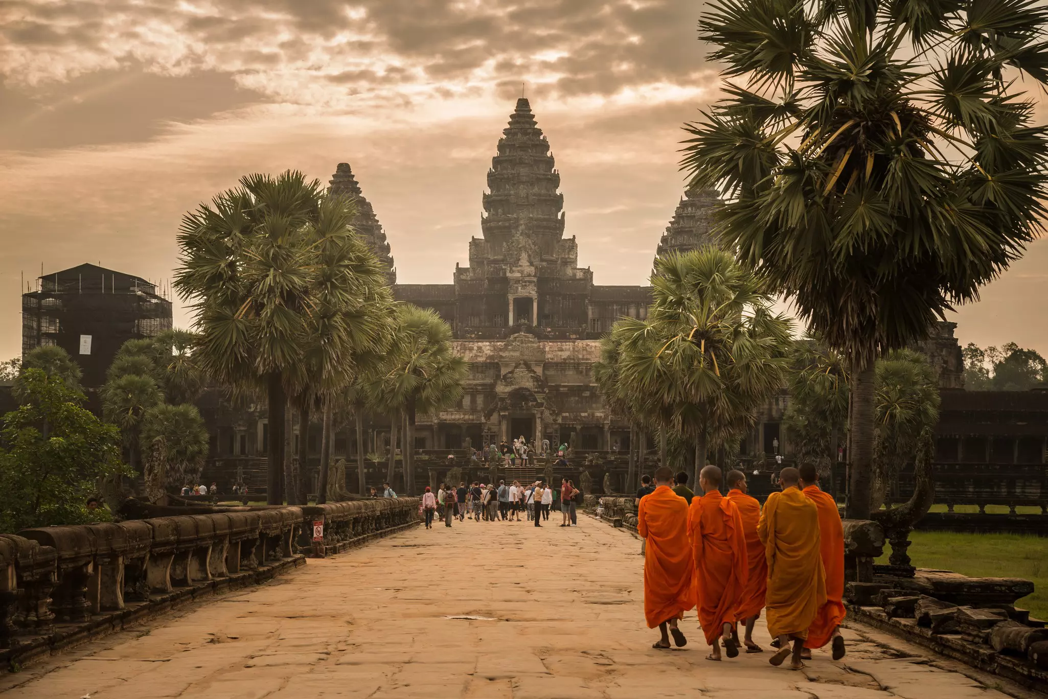 Buddhist monks clad in orange robes walk down a straight palm-lined pathway leading toward an ancient temple in Cambodia.
