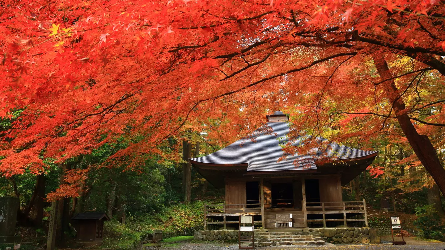 Chūson-ji in Hiraizumi. yspbqh14 / Shutterstock